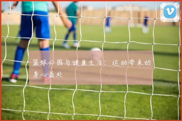 篮球公园与健康生活:运动带来的身心益处